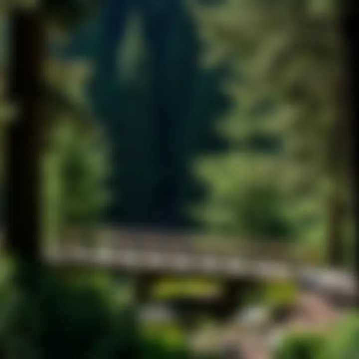 Notable Understanding Prefabricated Trail Bridges: Construction, Benefits, and Applications