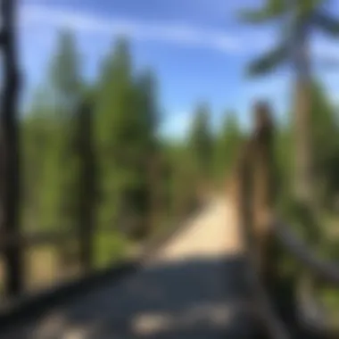 Understanding Prefabricated Trail Bridges: Construction, Benefits, and Applications Summary Understanding Prefabricated Trail Bridges: Construction, Benefits, and Applications Summary