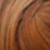 A close-up view of western red cedar wood grain showcasing its natural beauty