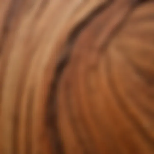 A close-up view of western red cedar wood grain showcasing its natural beauty