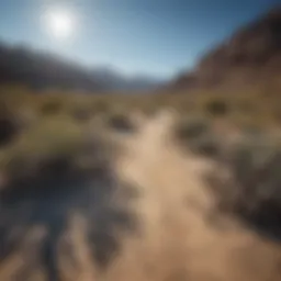 Vast desert landscape of Nevada under a clear blue sky