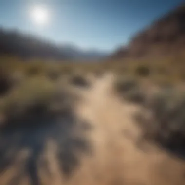 Vast desert landscape of Nevada under a clear blue sky