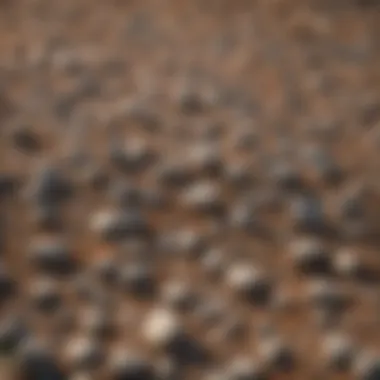 Close-up of gravel materials ready for construction