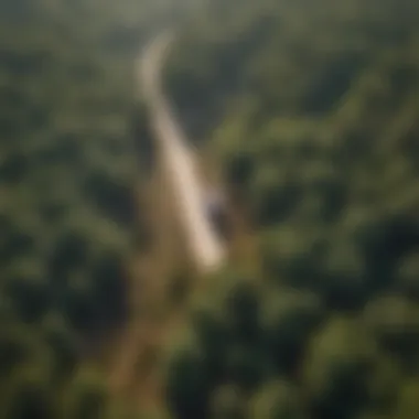 An aerial view of a forest being treated with pest control measures