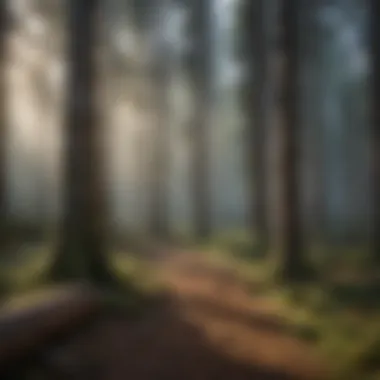 Historical Context of Thumbing Practices A historical timeline illustrating the evolution of thumbing practices in forestry management.