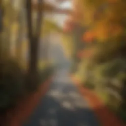 Scenic view of Virginia Creeper Trail in autumn