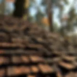 Wood Shake Installation: A Comprehensive Guide Introduction